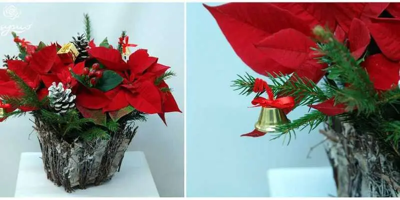 Новогодняя Композиция с Пуансетией